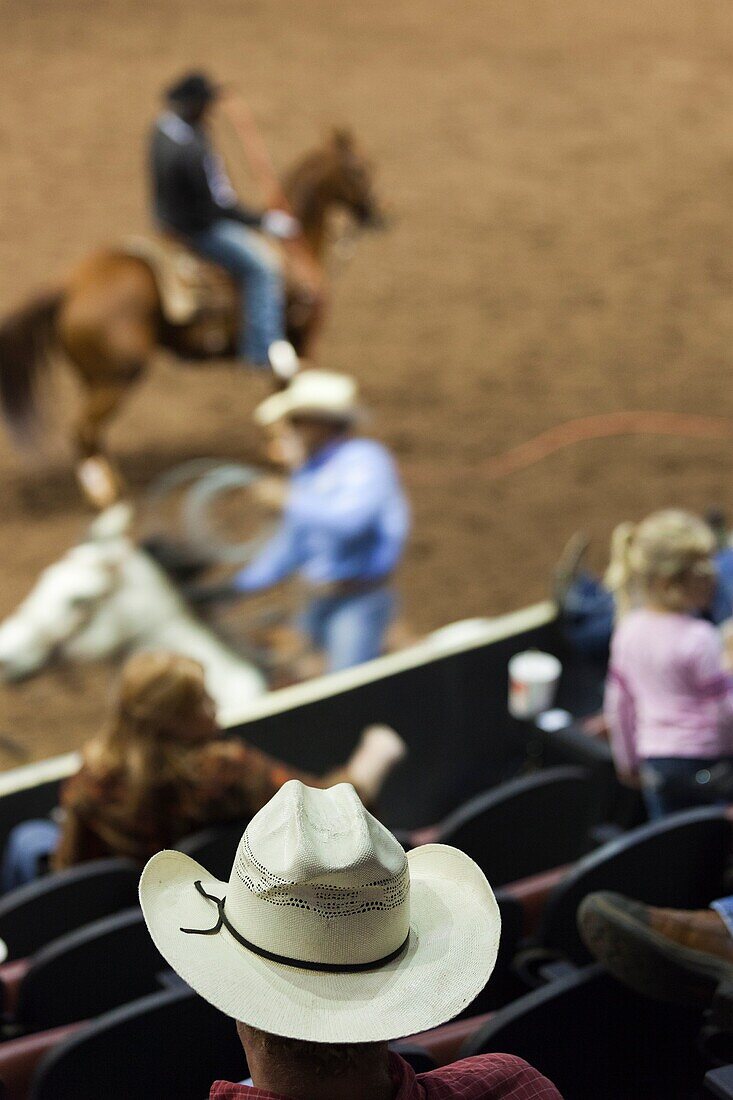 USA, Oklahoma, Oklahoma City, Oklahoma State Fair Park, Cowboy Rodeo Competition, cowboy
