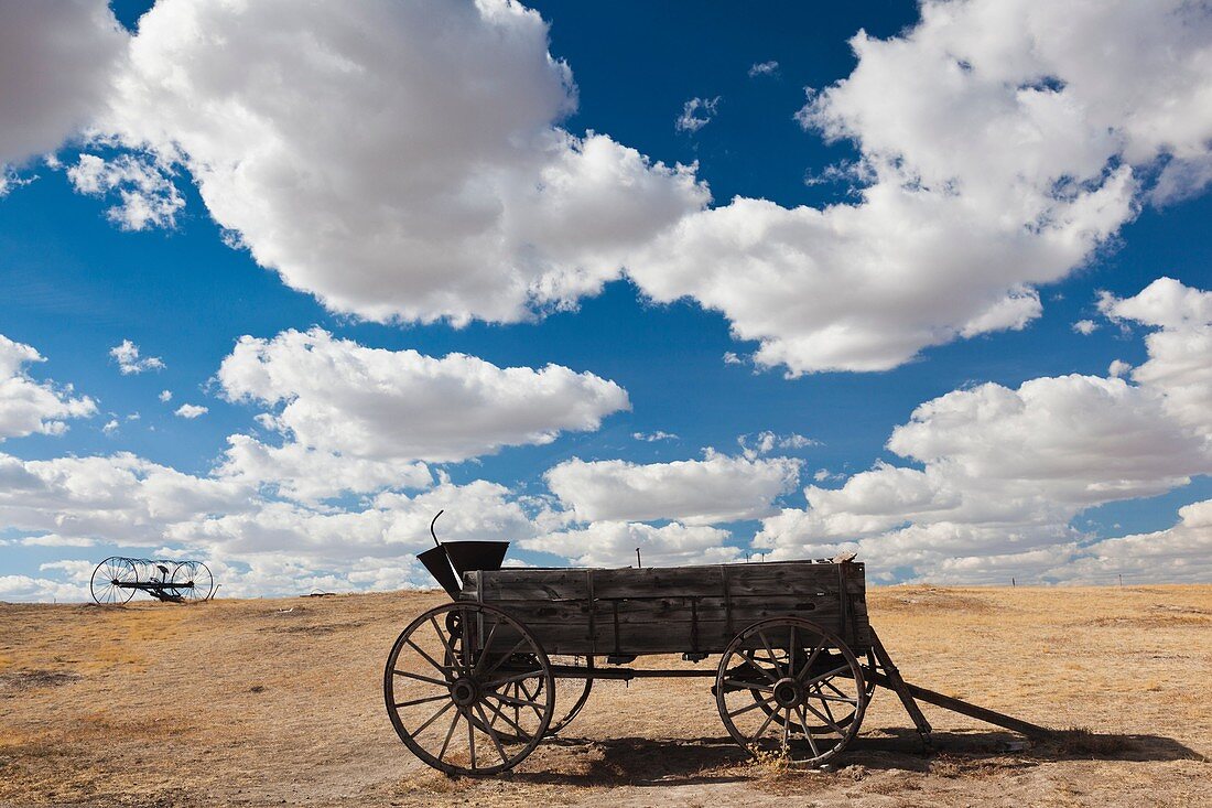 USA, South Dakota, Cactus Flat, Prairie Homestead, old wagon