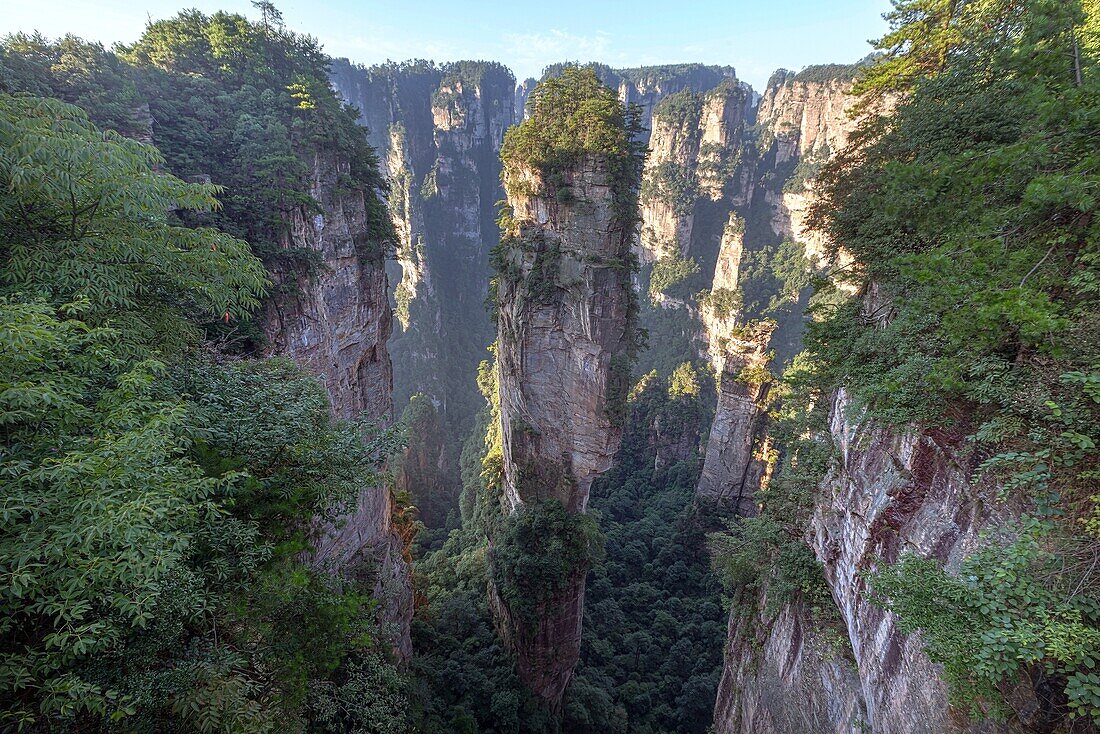 China, Hunan Province, Zhangjiajie National Forest Park UNESCO World Heritage Site, Hallrlujah Mountains Floating Mountains, Avatar site, Southern Sky Column, morning