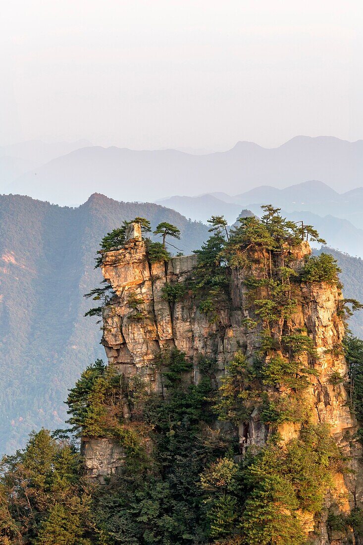 China, Hunan Province, Zhangjiajie National Forest UNESCO World Heritage Site, Tianzi Mountains, morning