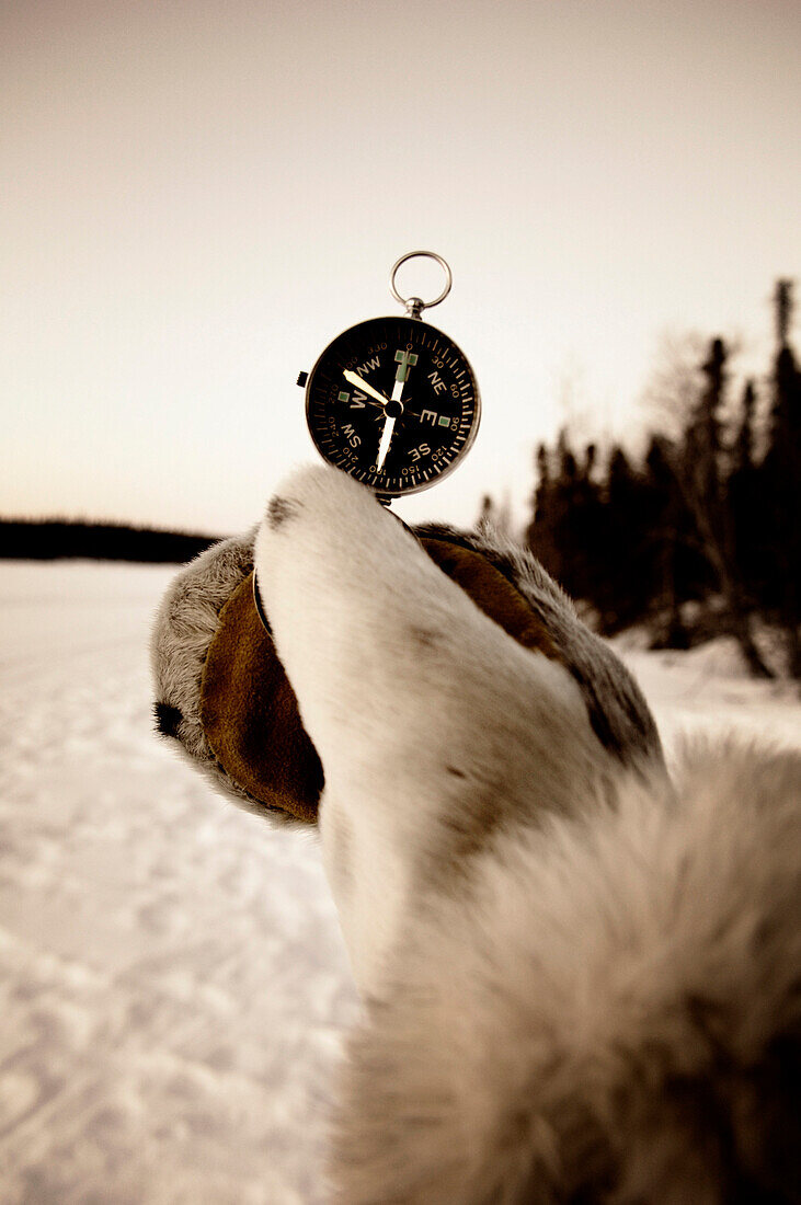 Hand Holding Compass, Northwest Territories near Blachford lake.