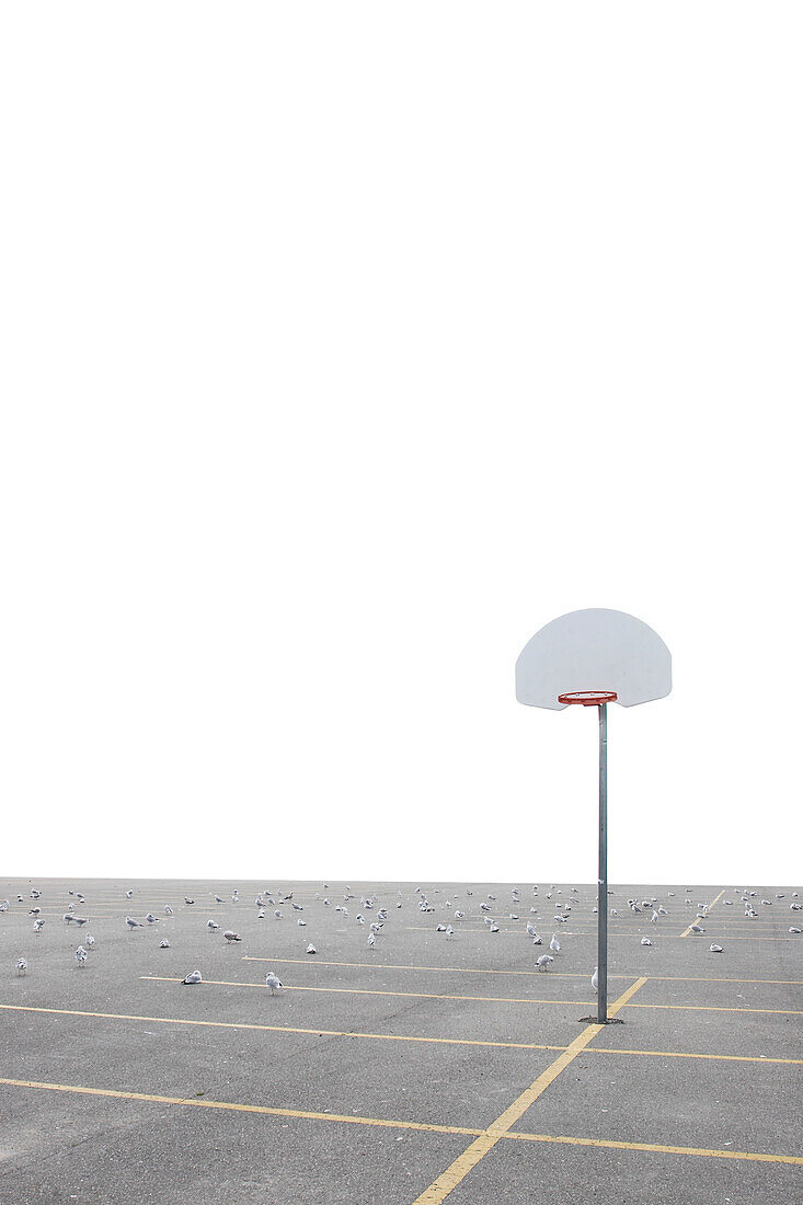 Basketball Net in Parking Lot, Toronto, Ontario