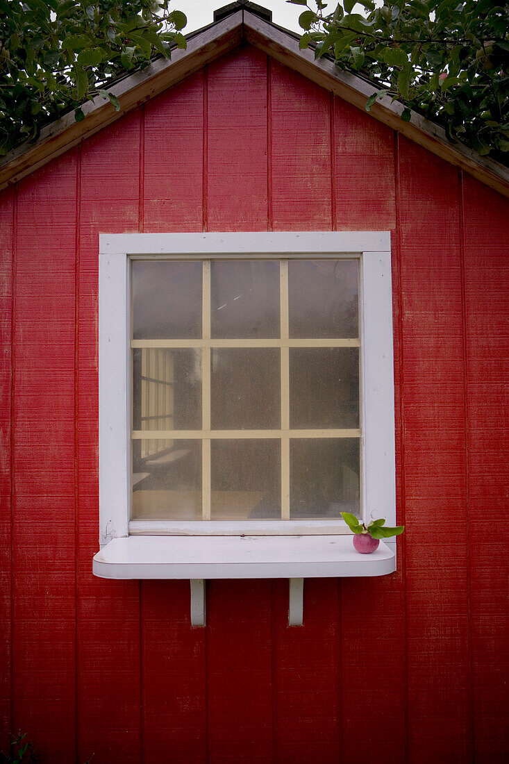 Close-up of Red Shed