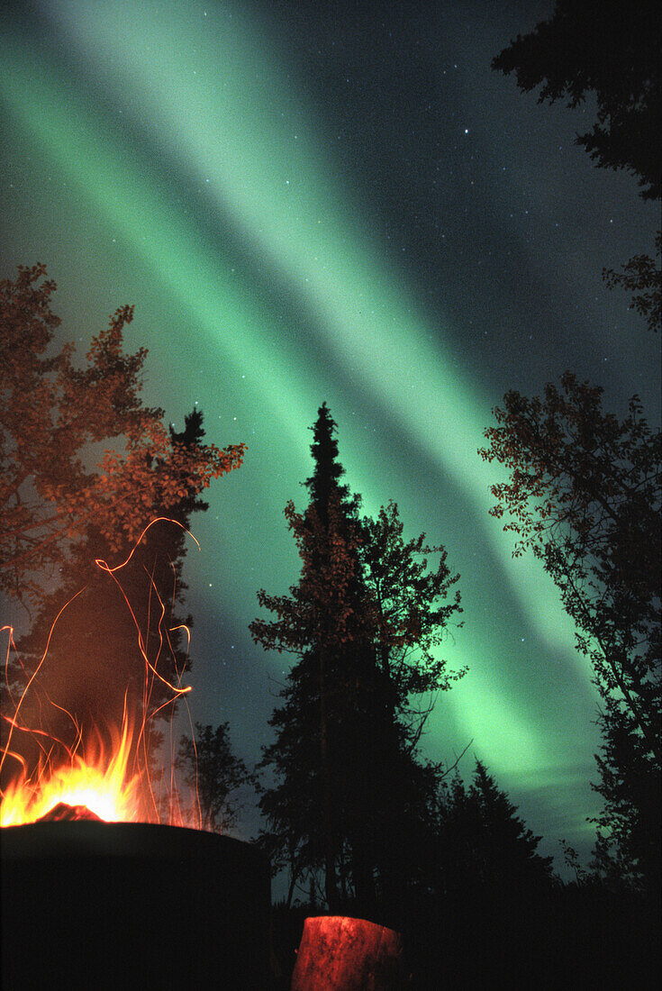 Campfire and Northern Lights, Yukon