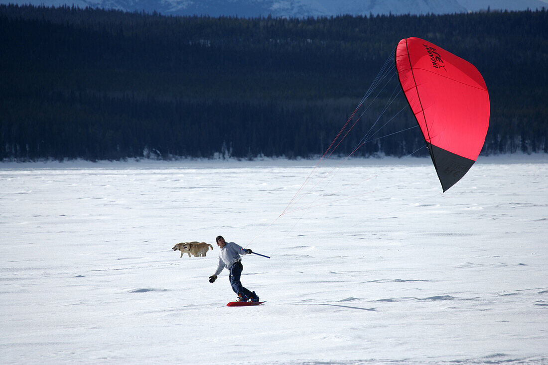 Para Skiing, Teslin, Yukon.