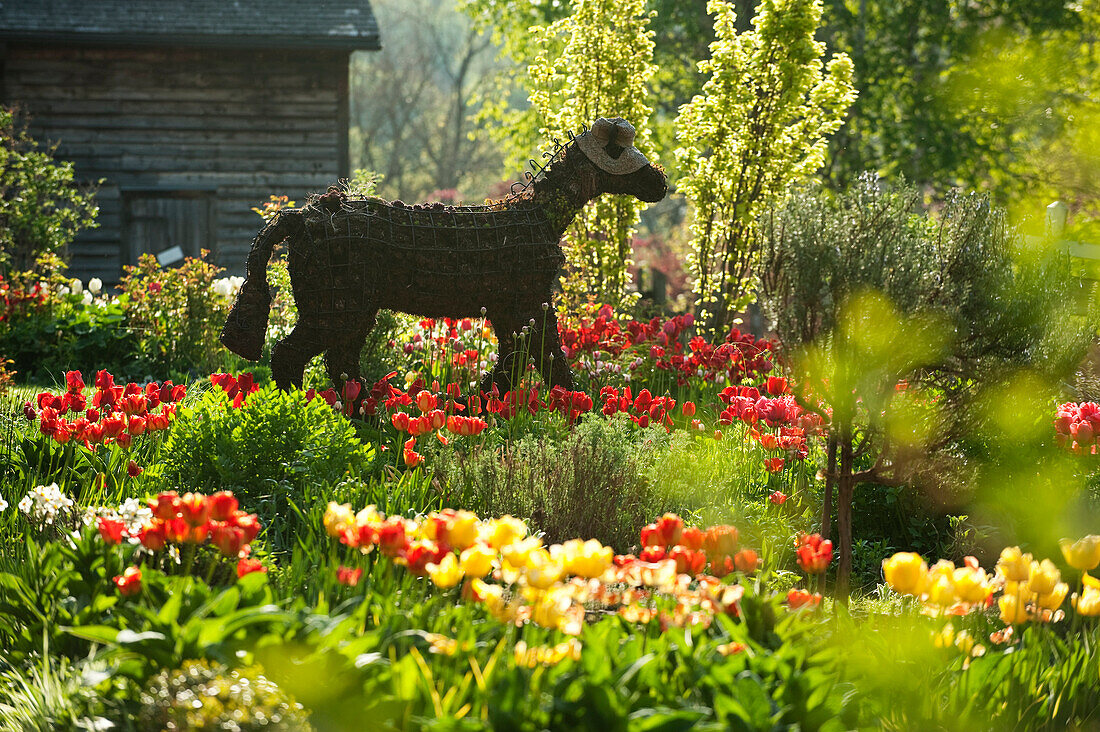 Horse Topiary, Riverdale Farm, Toronto, Ontario