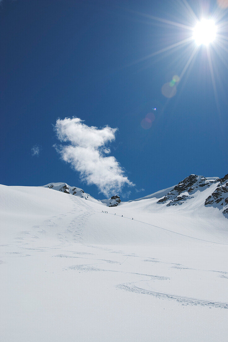 Skiers carving up powder on Decker Glacier, Garibaldi Provincial Park, Whistler, British Columbia