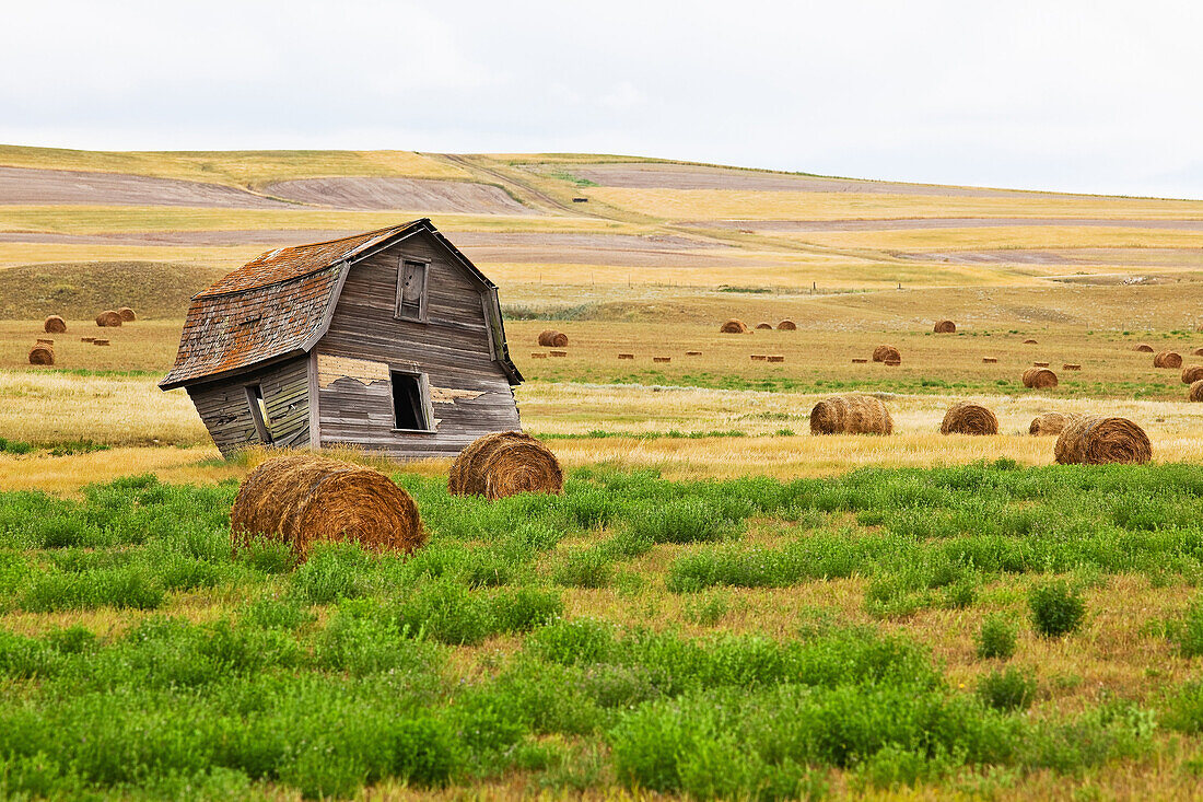 Twisted Barn on Canadian Prairie, Big Muddy Badlands, Saskatchewan