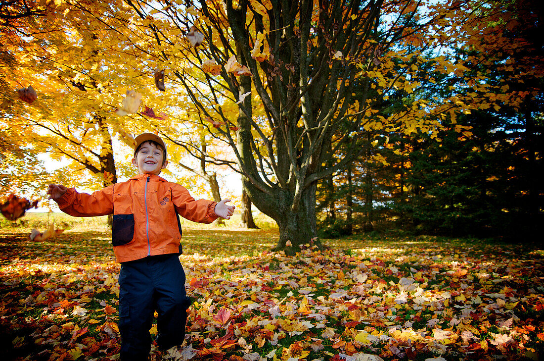 Boy throwing Autumn Leaves in the air, Maricourt, Quebec