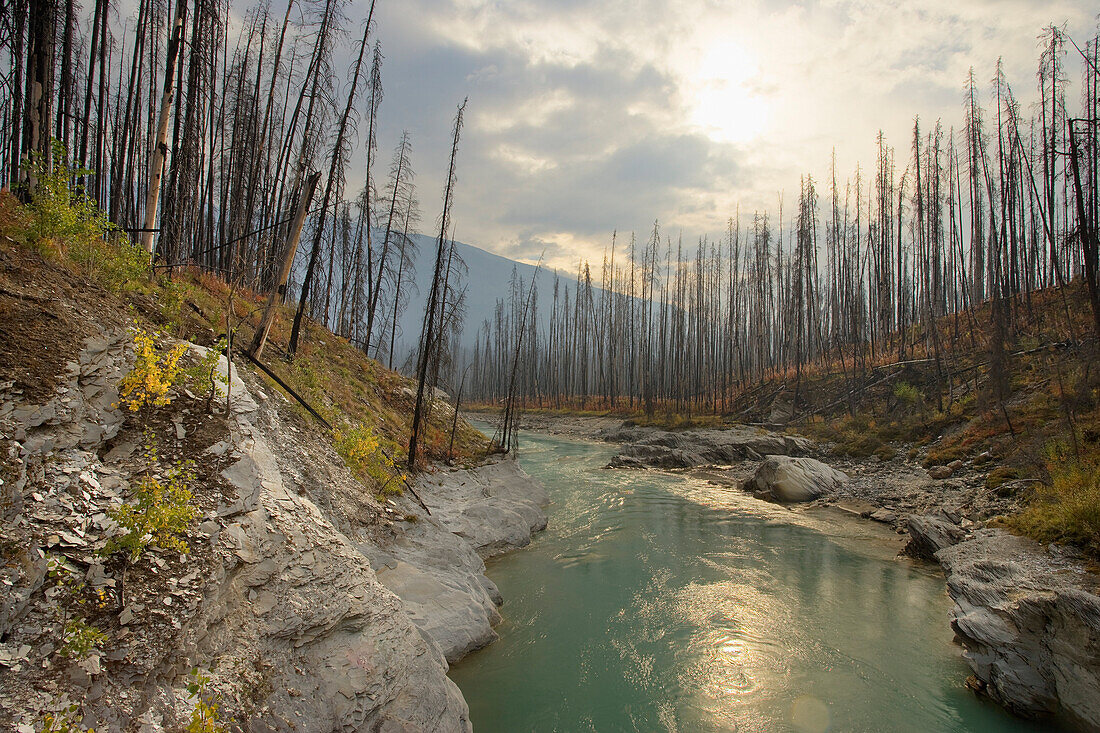 Vermilion River, Kootenay National Park, British Columbia