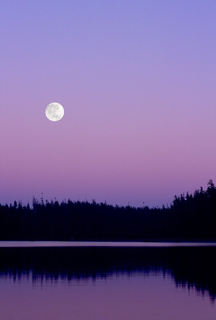 Artist's Choice: Moon Rising on a Purple Sky, Vancouver Island, British Columbia