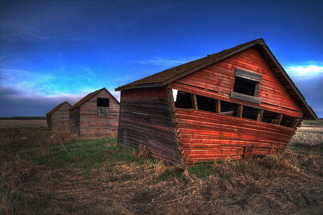 Three Old Red Granaries on the Alberta Prairie, north of Edmonton