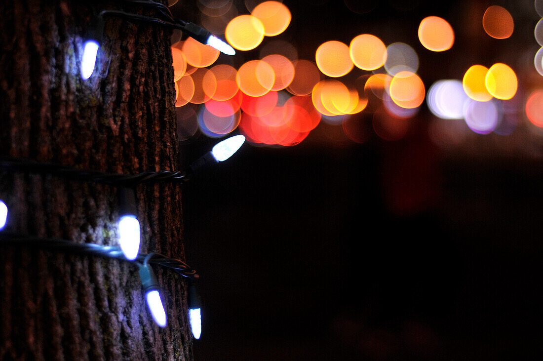 Close up of lights around a tree, Toronto, Ontario