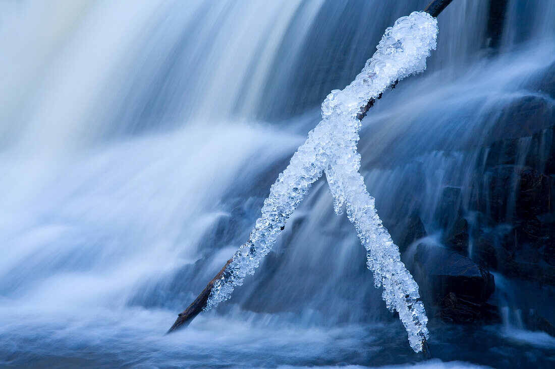 Icy branch and waterfall, Millers Lake, Nova Scotia