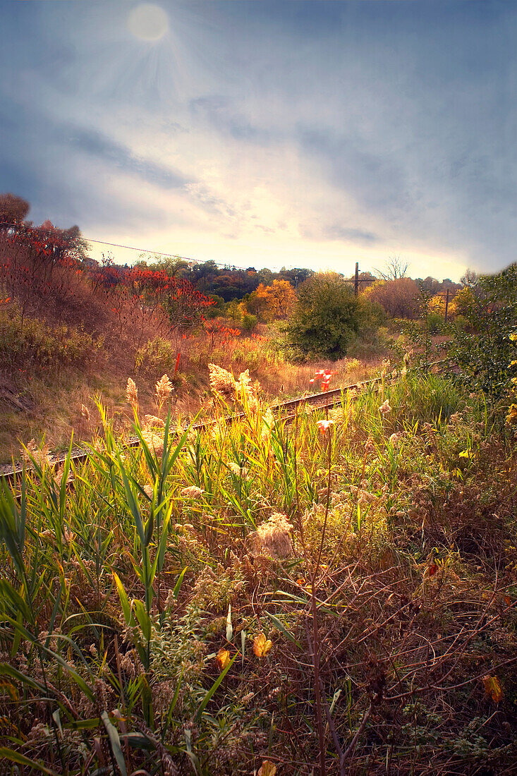 Field and train tracks in the Don Valley, Toronto, Ontario