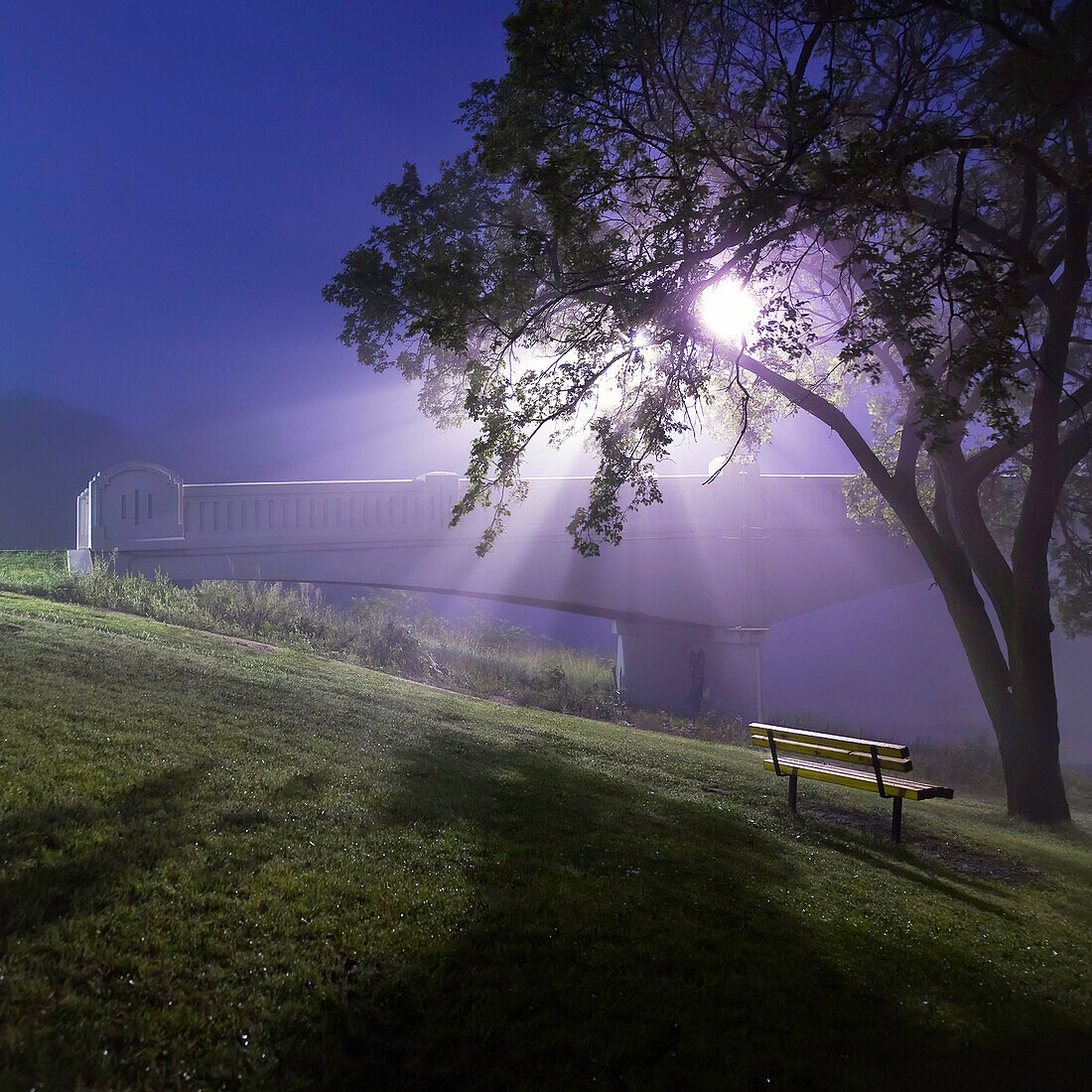 Assiniboine Park Footbridge crossing Assiniboine River on foggy fall morning, Winnipeg, Manitoba