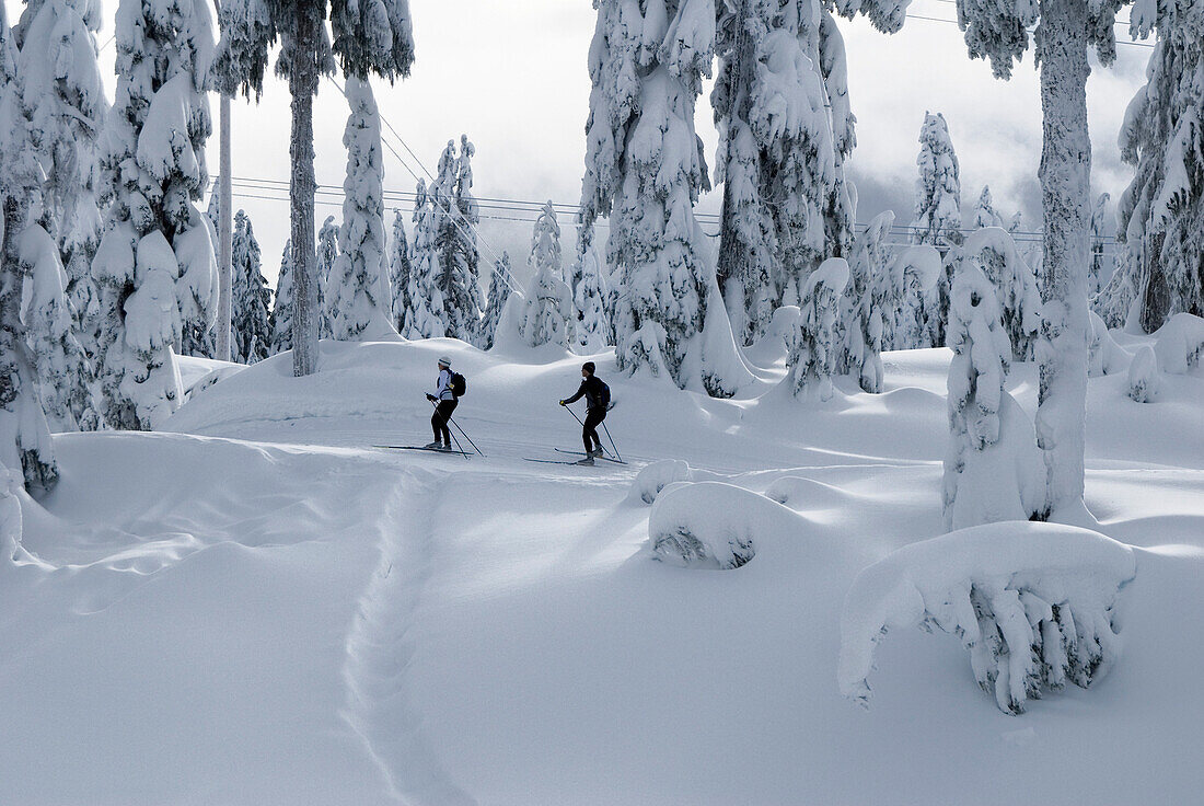 People Skiing on Hollyburn Mountain, Vancouver, British Columbia