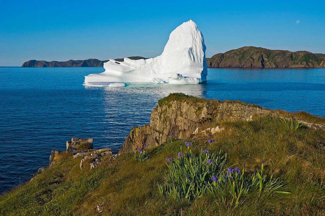 Iceberg floats in Trinity Bay off the Bonavista Peninsula with Rocky Shoreline, Eastern Newfoundland