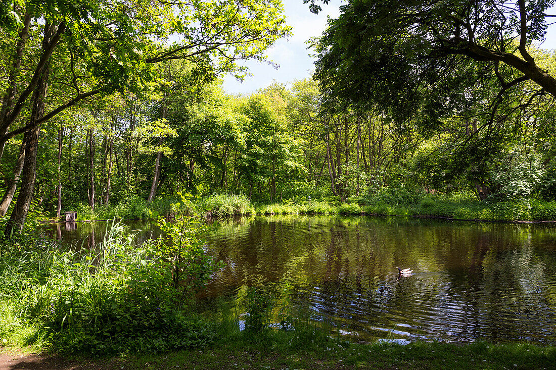 Spa gardens, Spiekeroog Island, National Park, North Sea, East Frisian Islands, East Frisia, Lower Saxony, Germany, Europe