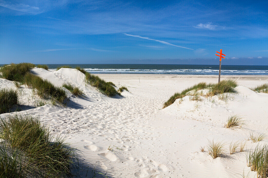 Dünen am Strand, Spiekeroog, Ostfriesische Inseln, Nationalpark Niedersächsisches Wattenmeer, Nordsee, Ostfriesland, Niedersachsen, Deutschland, Europa