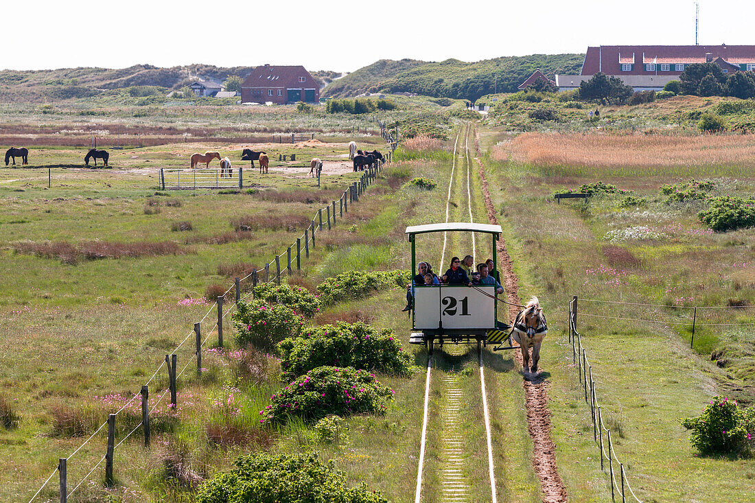 Horse drawn train, Spiegeroog Island, Nationalpark, North Sea, East Frisian Islands, East Frisia, Lower Saxony, Germany, Europe