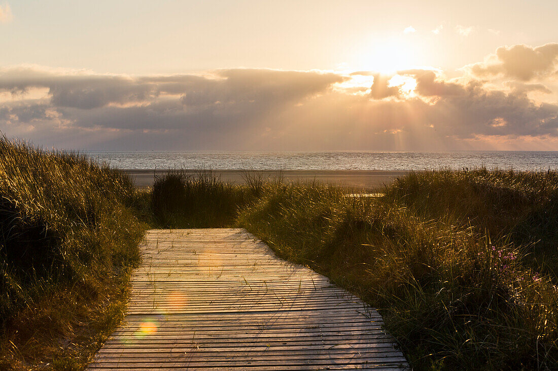 Sonnenuntergang am Strand, Gräser, Spiekeroog, Ostfriesische Inseln, Nationalpark Niedersächsisches Wattenmeer, Nordsee, Ostfriesland, Niedersachsen, Deutschland, Europa