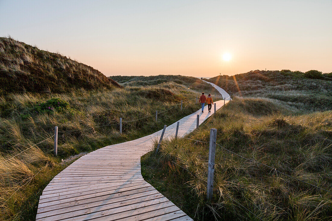 Path through the dunes at sunset, Spiekeroog Island, National Park, North Sea, East Frisian Islands, East Frisia, Lower Saxony, Germany, Europe