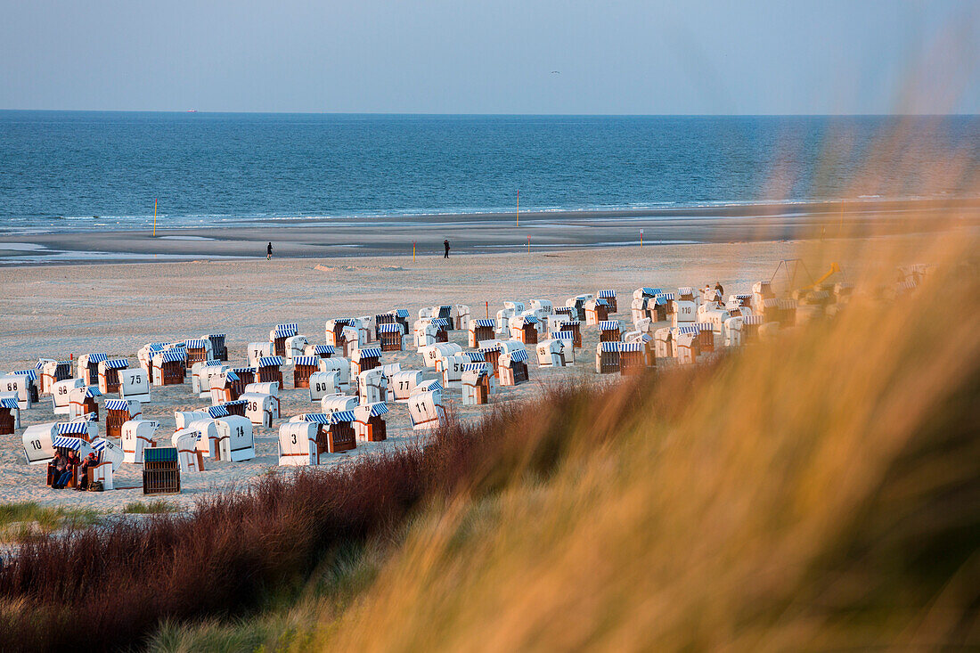 Beach chairs and dunes at sunset, Spiekeroog Island, North Sea, East Frisian Islands, East Frisia, Lower Saxony, Germany, Europe