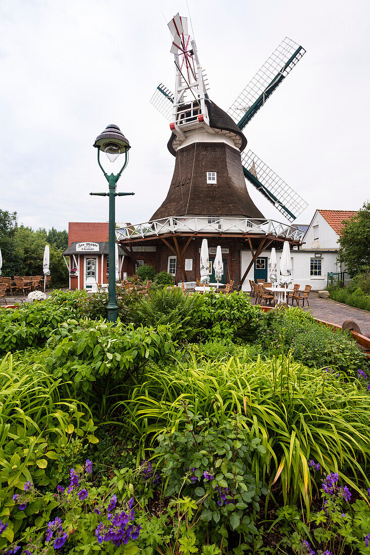 Restaurant Zur Muehle, Norderney Island, Nationalpark, North Sea, East Frisian Islands, East Frisia, Lower Saxony, Germany, Europe