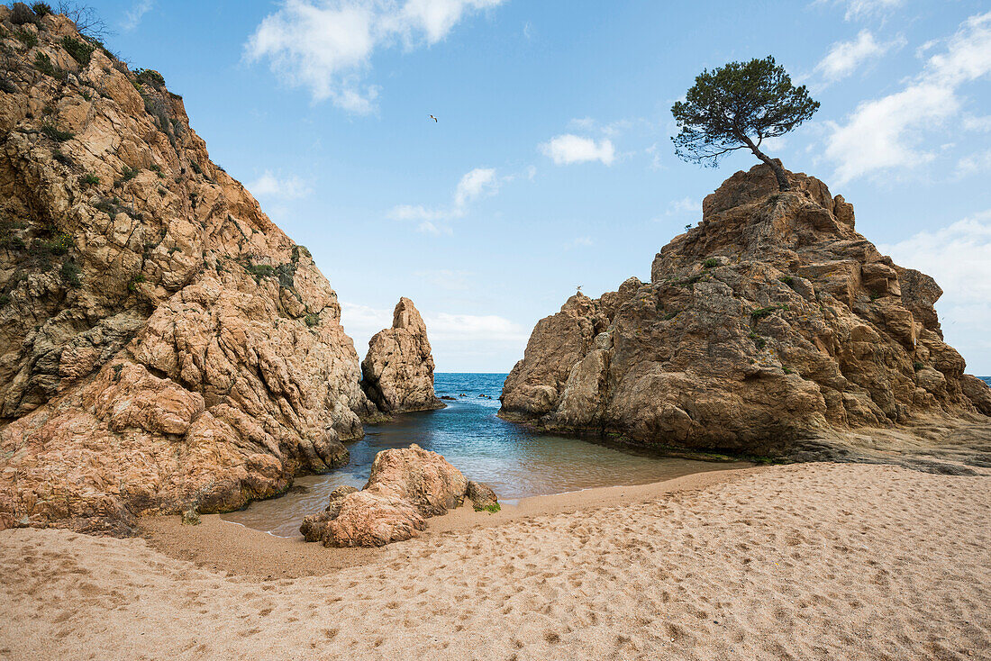 Strand und Felsen, Tossa de Mar, Costa Brava, Spanien