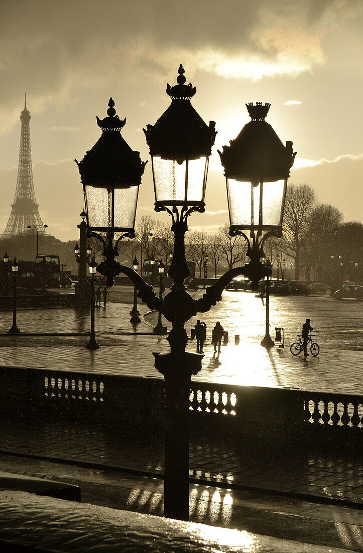 In the Tuileries at Place de la Concorde with view of the Eiffel Tower, Paris, France