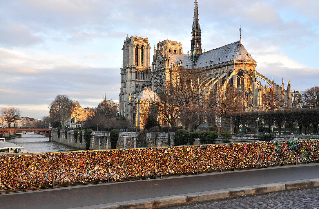 Liebesschlößer an der Notre Dame, Ile de la Cité, Paris im Winter, Frankreich