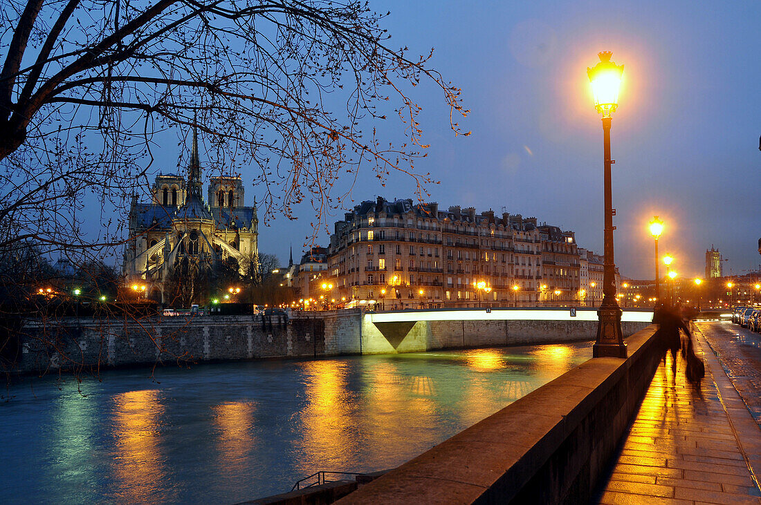 Ile de la Cite at night with Notre Dame, Paris, France