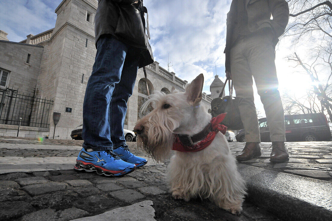 Walking the dog at Sacre Coeur, Montmatre, Paris, France