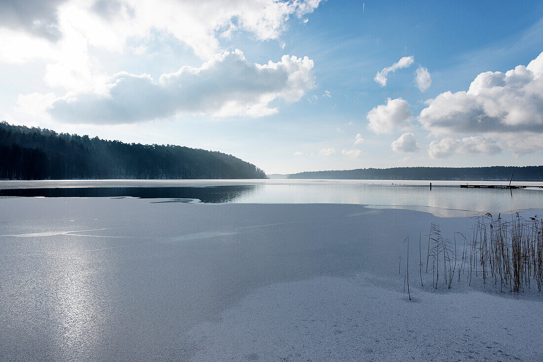 Shore of Lake Werbellinsee in Winter, Joachimsthal, Schorfheide Biosphere Reserve, Uckermark, Brandenburg, Germany