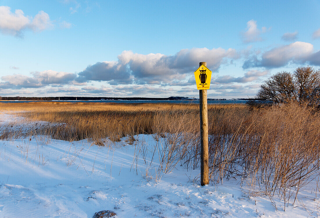 Ruegen Shallow Bay in Winter, Gross Zicker, Moenchgut, Island of Ruegen, Mecklenburg-Western Pomerania, Germany