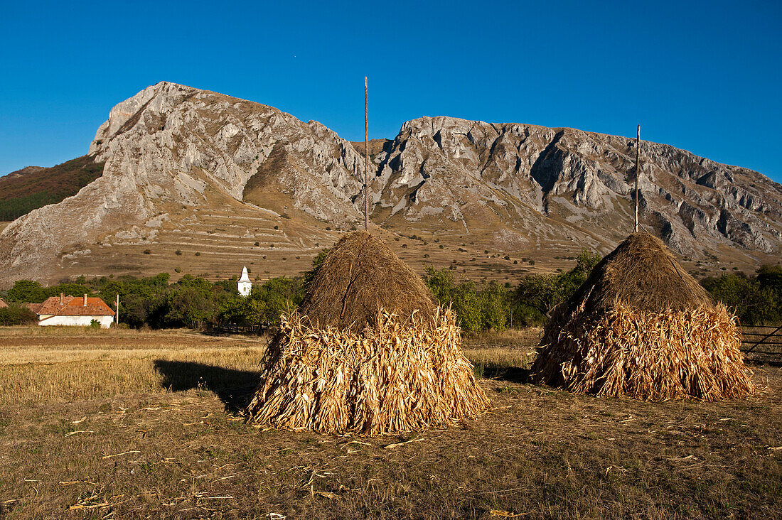 Hay stacks near the village of Rimetea, Alba, Transylvania, Romania