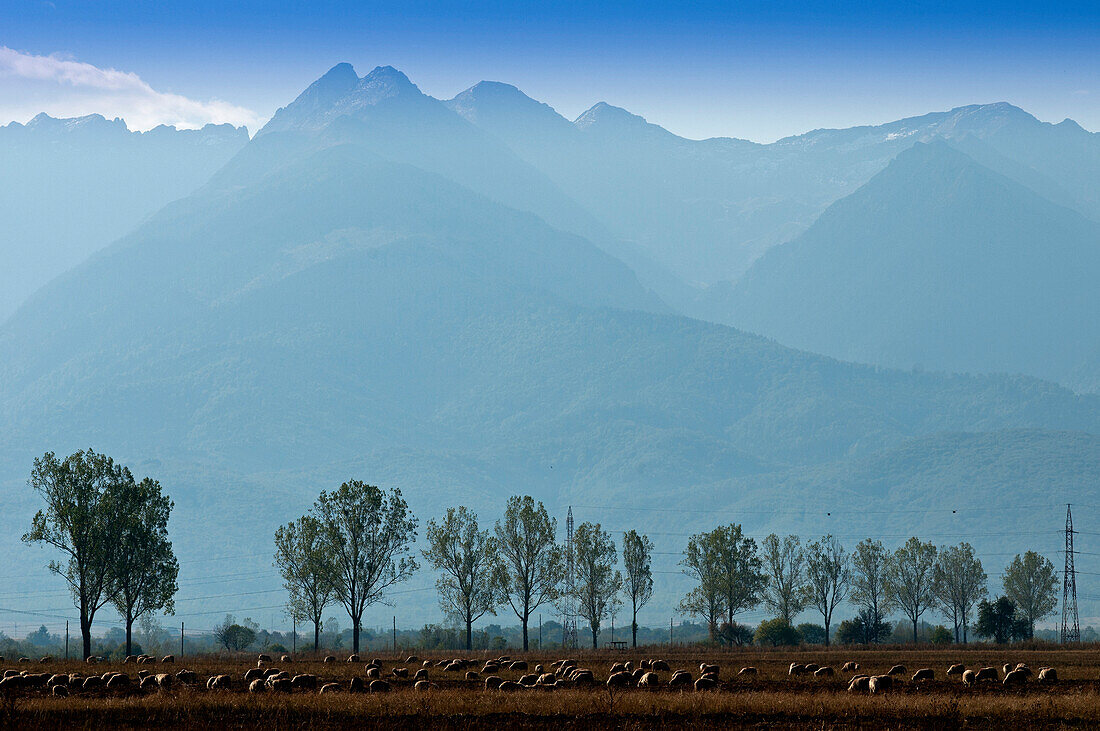 Das Fogarascher Gebirge nahe dem Dorf Victoria, Transylvanien, Rumänien