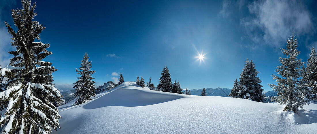Snowy scenery at mount Purschling, Ammergau Alps, Upper Bavaria, Bavaria, Germany