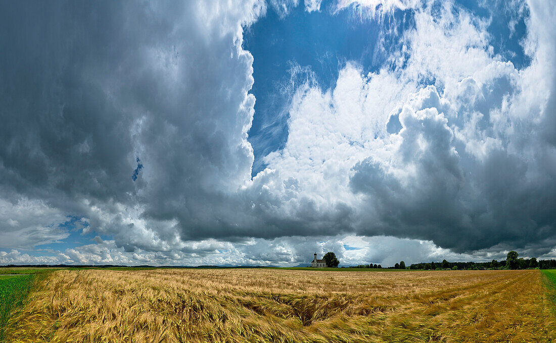 View over a cornfield to church St. Andrew, Etting, Polling, Upper Bavaria, Bavaria, Germany