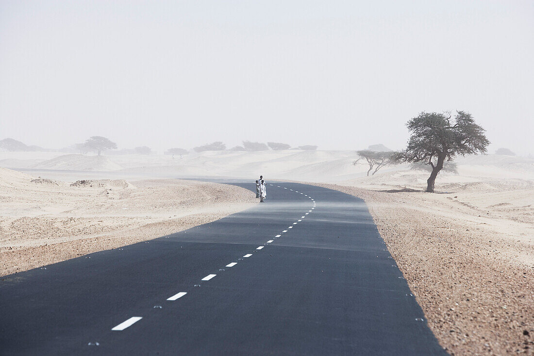 Children walking along street to Merowe, Northern, Sudan