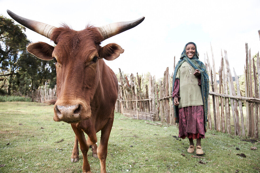 Farmwoman with cattle, Bale Mountains National Park, Oromia Region, Ethiopia