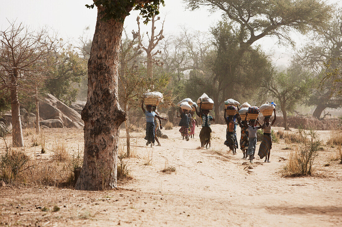 Frauen auf dem Weg vom Markt, Dogon-Land, Region Mopti, Mali