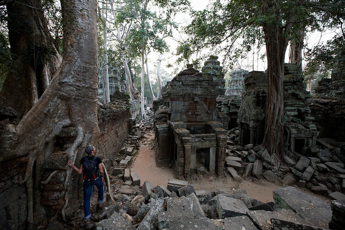 Ruin of Ta Prohm temple, Banyan trees, Angkor Archaeological Park, Siem Reap, Cambodia
