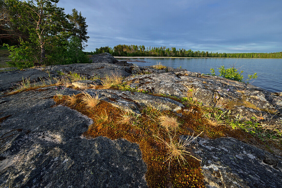 Shore of lake Onega, The Republic of Karelia, Russia