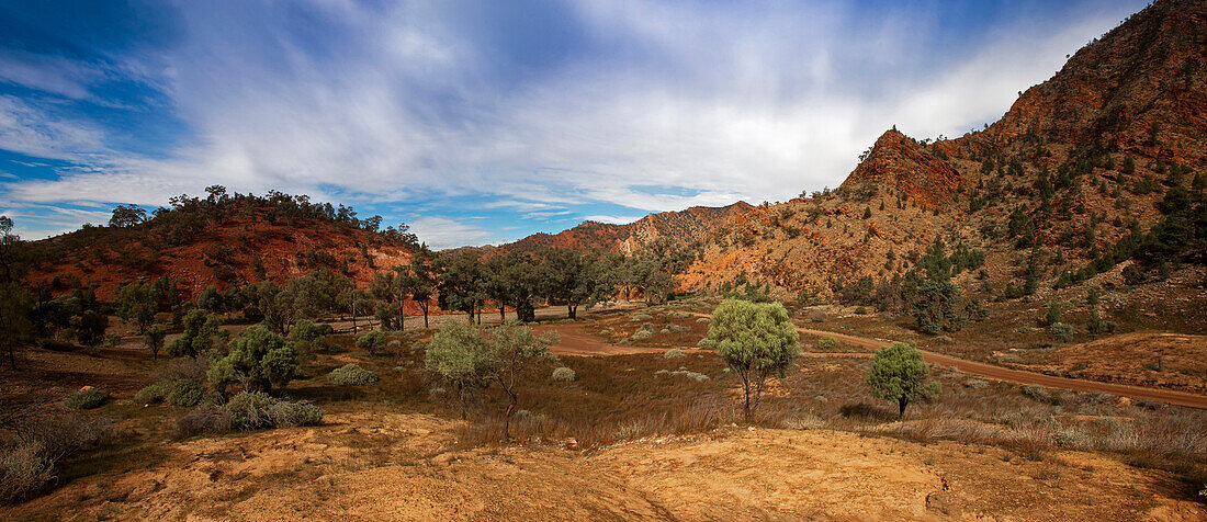 Brachina Gorge, Flinders Ranges National Park, South Australia, Australia