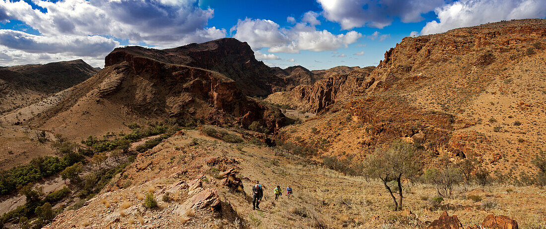 Aufstieg zum Mt. Chambers, Flinders Ranges Nationalpark, Südaustralien, Australien