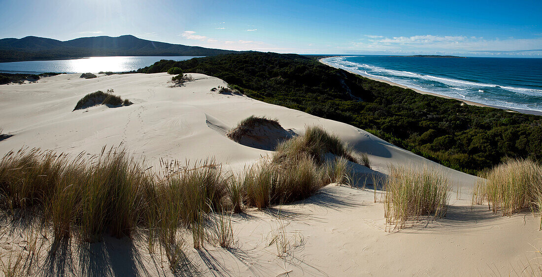 Sand dunes in the Cape Howe Wilderness, Croajingolong National Park, Victoria, Australia