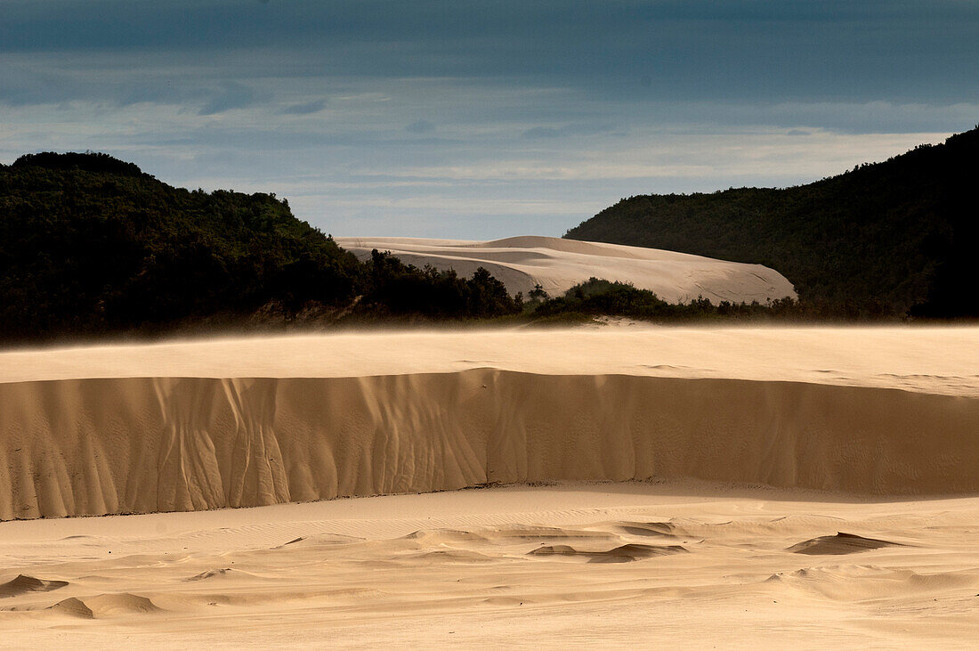 Thurra sand dunes, Croajingolong National Park, Victoria, Australia