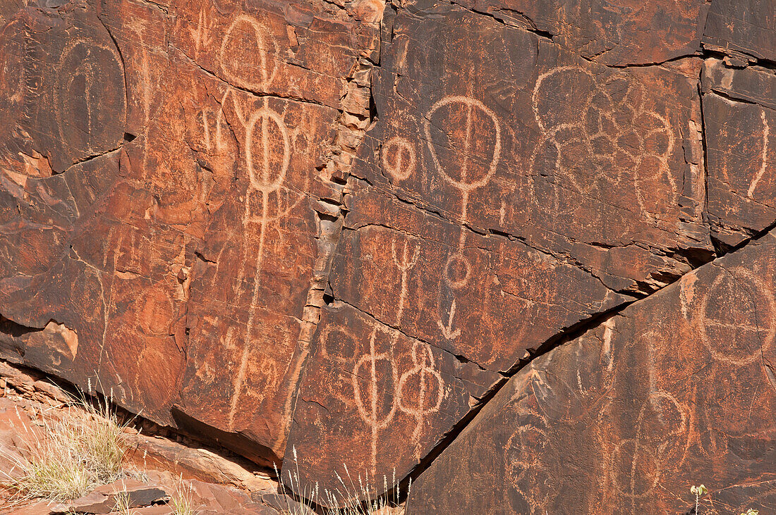 Aboriginal Felszeichnungen in der Chambers Gorge, Flinders Ranges, Südaustralien, Australien